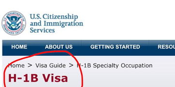 美国工作签证h1b-在新加坡申请