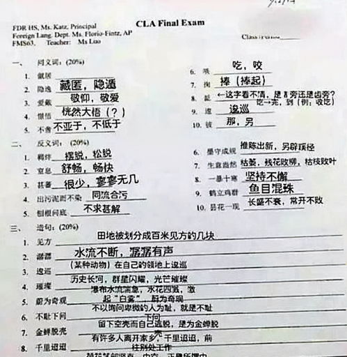 美国的高中考试叫11plus-碧岳十一高中