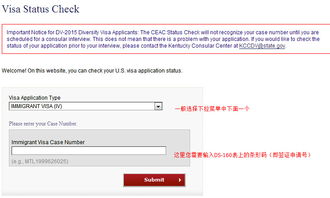 中国签证状态查询系统-申请美国签证