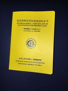 去美国会检查小黄本吗-去美国读研究生没有小红本