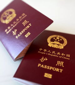 ds2019和护照号有没有-出国留学需要的ds2019表都填什么