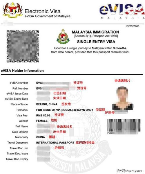 evisa电子签证-电子签证entri和evisa的区别「环俄留学」