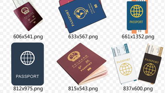 出国留学证件照要求-2020年美国留学签证照片着装有什么要求