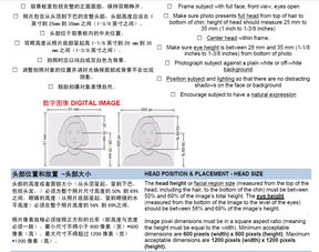 美国签证需要几张照片-美国签证照片需要几张