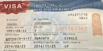 去美国怎么办签证和护照-申请美国签证