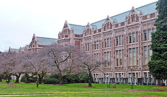 华盛顿大学西雅图分校内卷-华盛顿大学西雅图分校录取