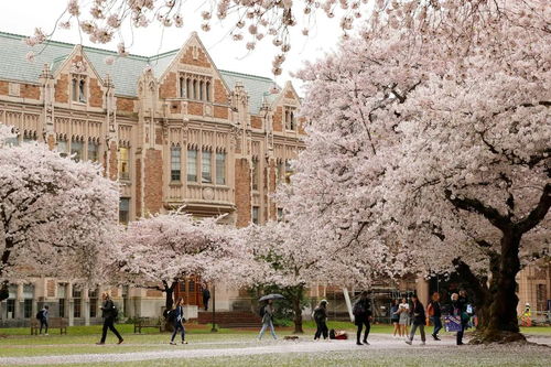 华大西雅图Cs专业在哪个学院-华盛顿大学西雅图的CS在美国是什么地位的「环俄留学」