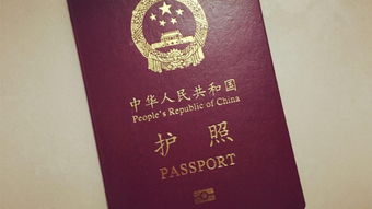 在国外留学把护照丢了怎么办-美国留学不小心把护照丢了怎么办