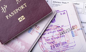 护照丢了美国签证-去美国留学签证、护照一不小心丢失了怎么办