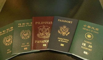 补办护照怎么补美签-含有美国签证的护照如果遗失怎么办