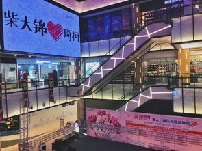wsc上海-2019世界学者杯WSC中国赛区于上海金苹果双语学校顺利举办