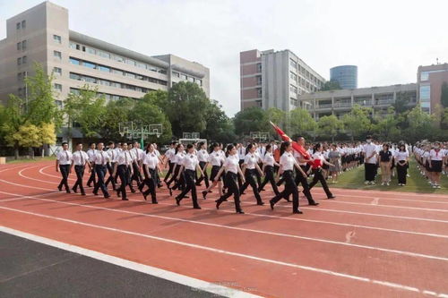 去南京外国语学校条件-南京外国语学校2018年招生简章及入学条件汇总