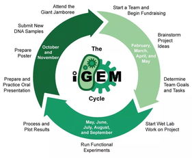 igem2019-igem2019