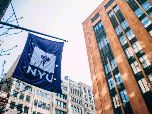 文理学院转学nyu-纽约大学本科转学申请条件需要哪些