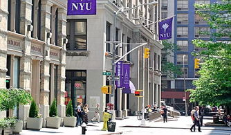 中国哪些大学可以考纽约大学-纽约大学相当于国内什么大学