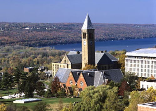 康奈尔 密歇根-康奈尔大学和密歇根大学安娜堡分校哪个好