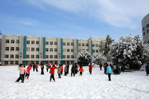 亚太实验学校入学条件-2021年北师范亚太实验学校国际部招生要求