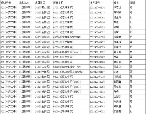 二中国际班名单-北京二中国际部2020届录取结果