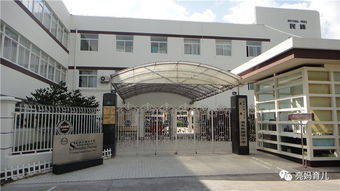 浦东新区私立中学有哪些-上海浦东国际学校一览表