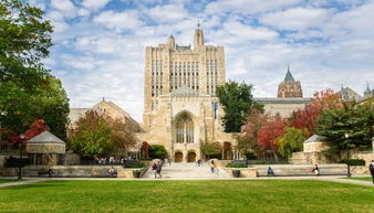 耶鲁大学是哪里-耶鲁大学和哈弗大学分别在哪个城市