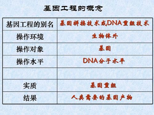 基因工程报哪所大学好-世界生物工程、基因工程最好的大学