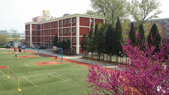 新桥外国语高中关闭-想报北京新桥外国语高中学校