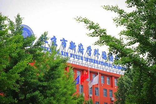 新府学国际学校在哪-北京新府学外国语学校地址在哪里