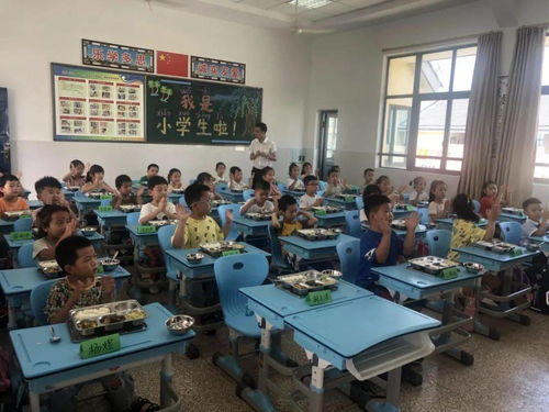 宁波中意实验学校学费-在宁波读国际学校一年花多少钱