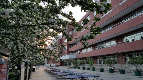 北京北师大实验中学宿舍-“藤校收割机”北师大实验中学为什么这么厉害