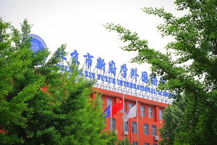 新府学是什么课程体系-北京新府学外国语学校