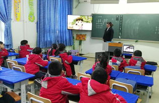 中关村外国语学校如何 学费-2021北京市中关村外国语学校学费标准