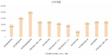 深圳市美中学校学费多少2020-深圳美中学校2021年学费、收费多少