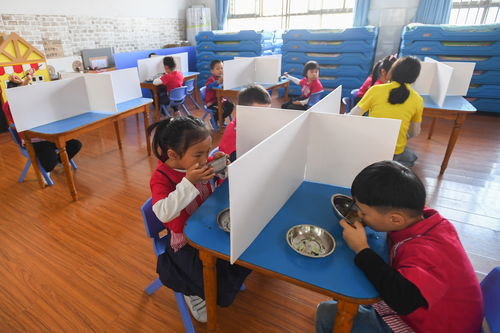 长沙青苗幼儿园怎么样-青苗国际双语学校有幼儿园吗