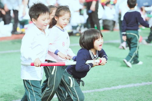 和林格尔枫叶国际学校招聘-枫叶教育西进内蒙古和林格尔新区