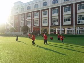 荆州市枫叶国际学校在哪里-2019年荆州枫叶国际学校春季招生开始啦