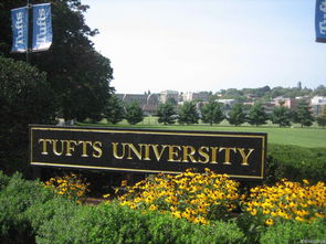 塔夫茨大学去波士顿通勤方便吗-塔夫茨大学和纽约大学哪个好