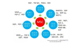 msc和mfin-会计与金融专业排名十大高校推荐