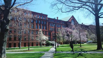 纽约大学vs波士顿学院-纽约大学和波士顿学院哪个好