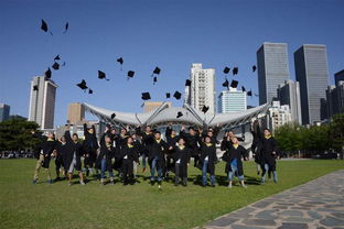 东北大学留学情况-美国东北大学概况