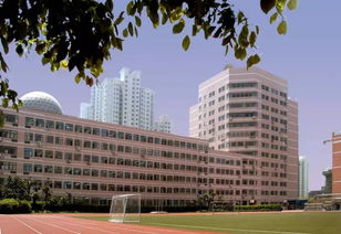 上海市引进国际学校的具体方法-上海国际学校择校方法