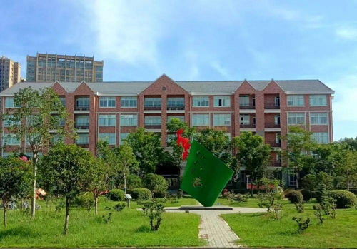 武汉枫叶国际高中部录取分数-武汉枫叶国际学校