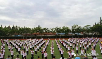 山海金山杭州湾双语学校-杭州湾双语学校一年学费高达10万背后竟有上海第一牛校撑