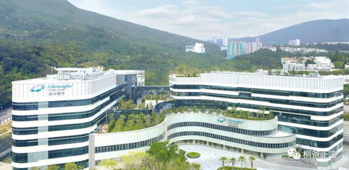 香港医学院排名-李嘉诚医学院世界排名