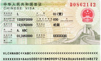 美国签证因公照片要求-美国签证照片尺寸要求