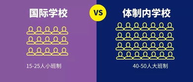 体制内学校的英文-体制内公立学校与私立国际学校有哪些区别