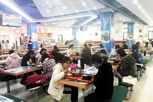 广州国际学校食堂经理招聘-盘点广州10所国际学校食堂的伙食费用