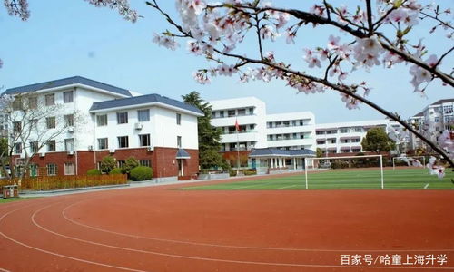 徐汇区 民办学校-上海徐汇区国际学校一览表