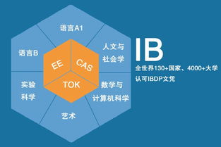 IB有几门功课-IB课程具体分为哪几组