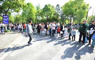 鼎石学校招生面试家长-中央音乐学院鼎石实验学校招生面试程序