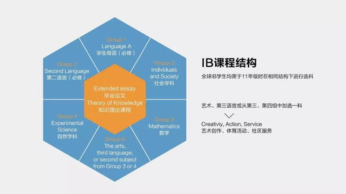 南京哪些学校有ib课程-中国开设IB课程的学校有哪些